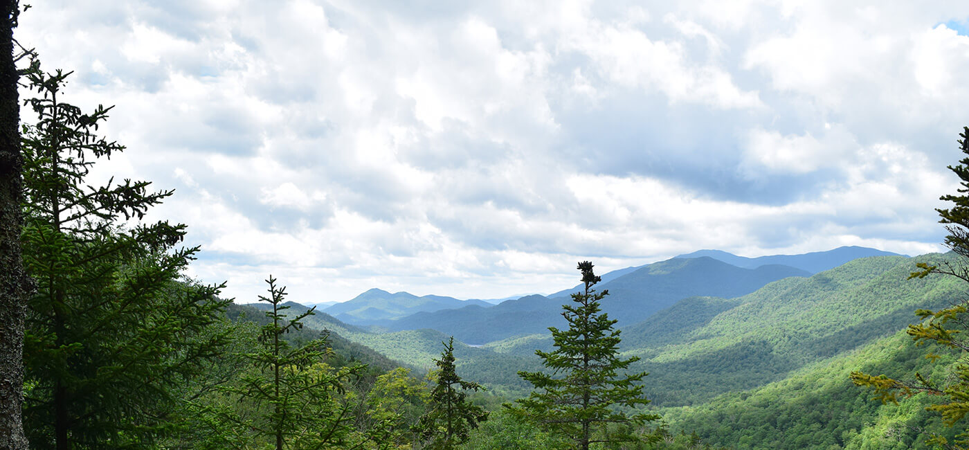 Beautiful green mountains