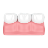 Animated teeth and gums icon